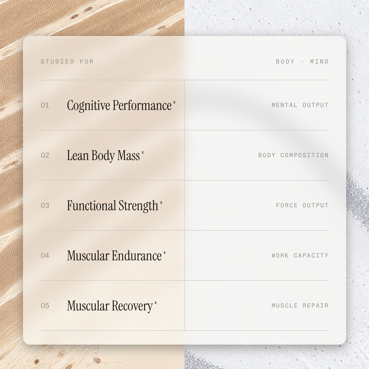 Foundational Protocol — functional benefits
