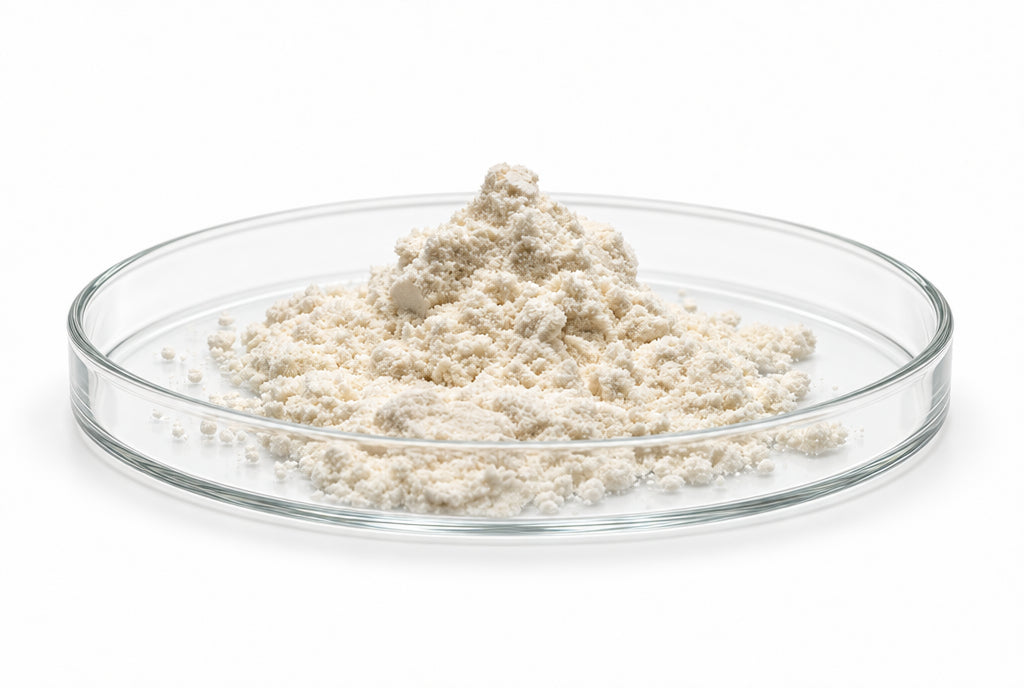 Whey Protein Isolate in a glass petri dish